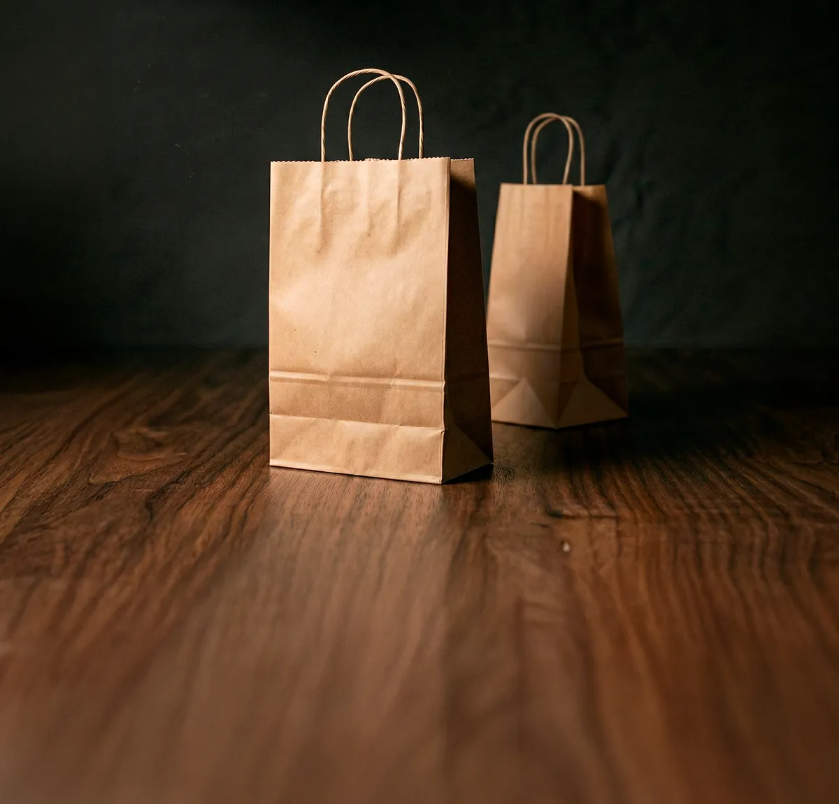 Paper Bags